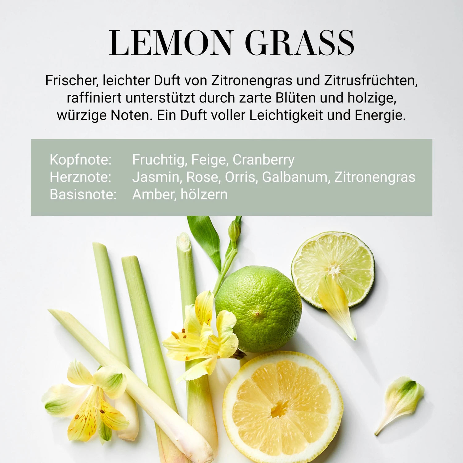 HOME & SOUL Raumduft No 4 "Lemon Grass" 250ml 5 HOME & SOUL Raumduft No 4 "Lemon Grass" 250ml – Bild 3