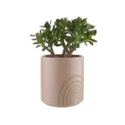 HAPPY RAINBOW Blumentopf Ø14cm -Butlers 10224336 1