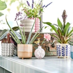 TIDE Blumentopf Mit Füßen Ø14cm 10 TIDE Blumentopf Mit Füßen Ø14cm -Butlers 10224370 1