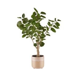 TIDE Blumentopf Mit Füßen Ø14cm 11 TIDE Blumentopf Mit Füßen Ø14cm -Butlers 10224370 2