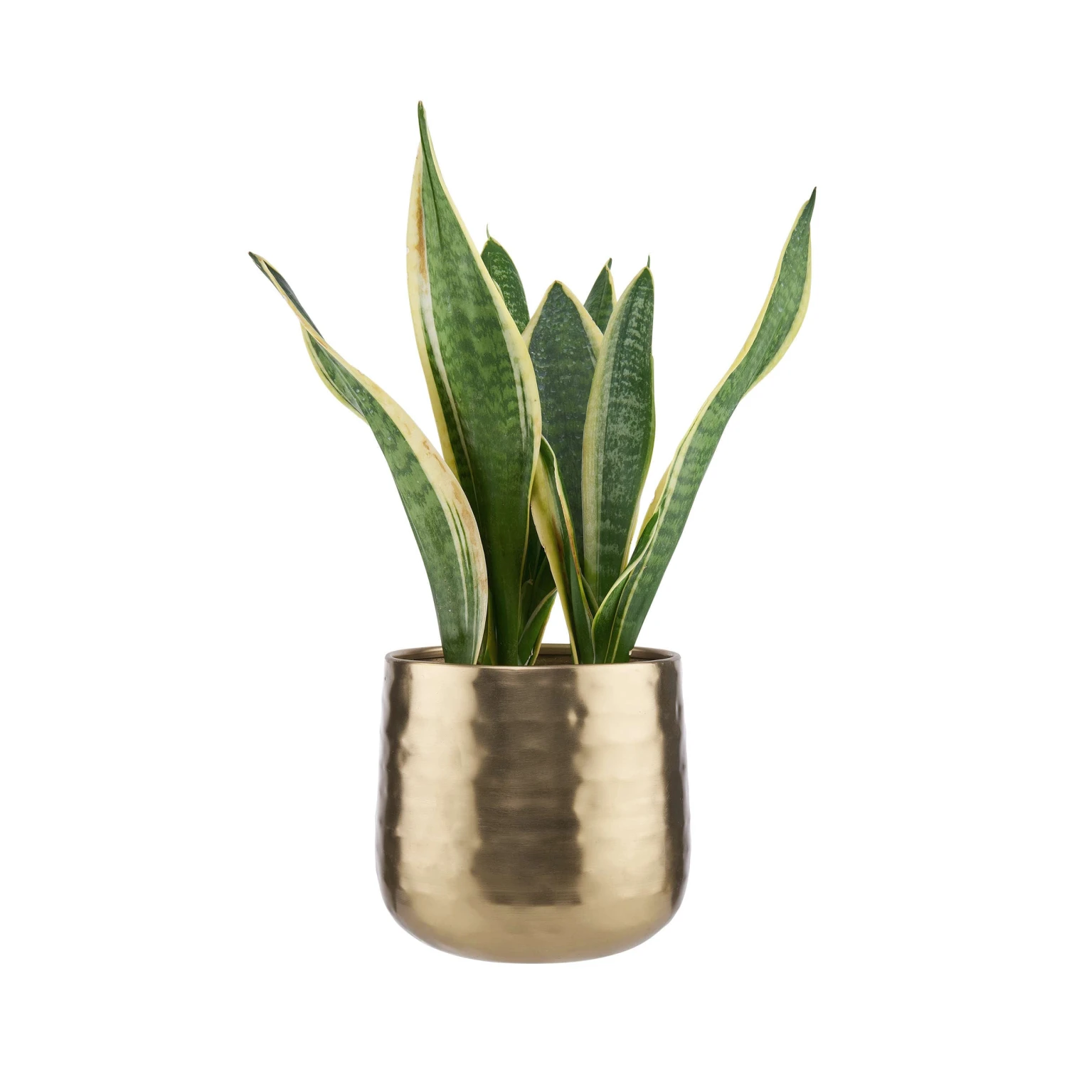 PLANTA Übertopf Ø16cm 4 PLANTA Übertopf Ø16cm – Bild 2