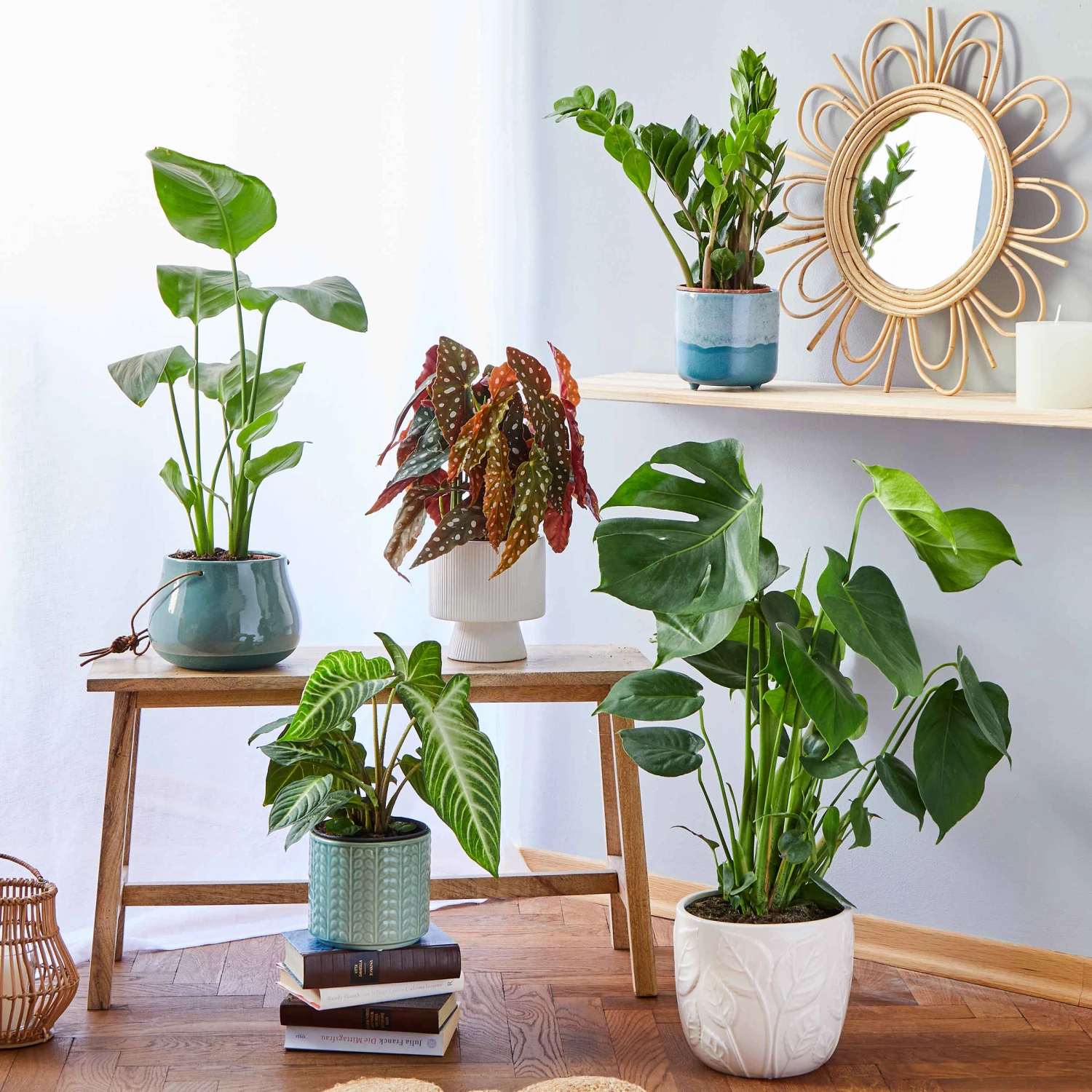 ROME Blumentopf Ø15cm 6 ROME Blumentopf Ø15cm – Bild 5