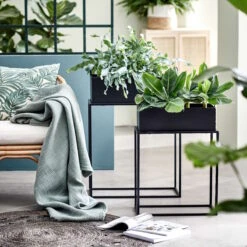 PLANTA Pflanzkasten Mit Gestell B 45 X T 21cm -Butlers 10226170 1