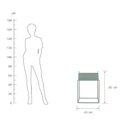 PLANTA Pflanzkasten Mit Gestell B 45 X T 21cm -Butlers 10226176 3
