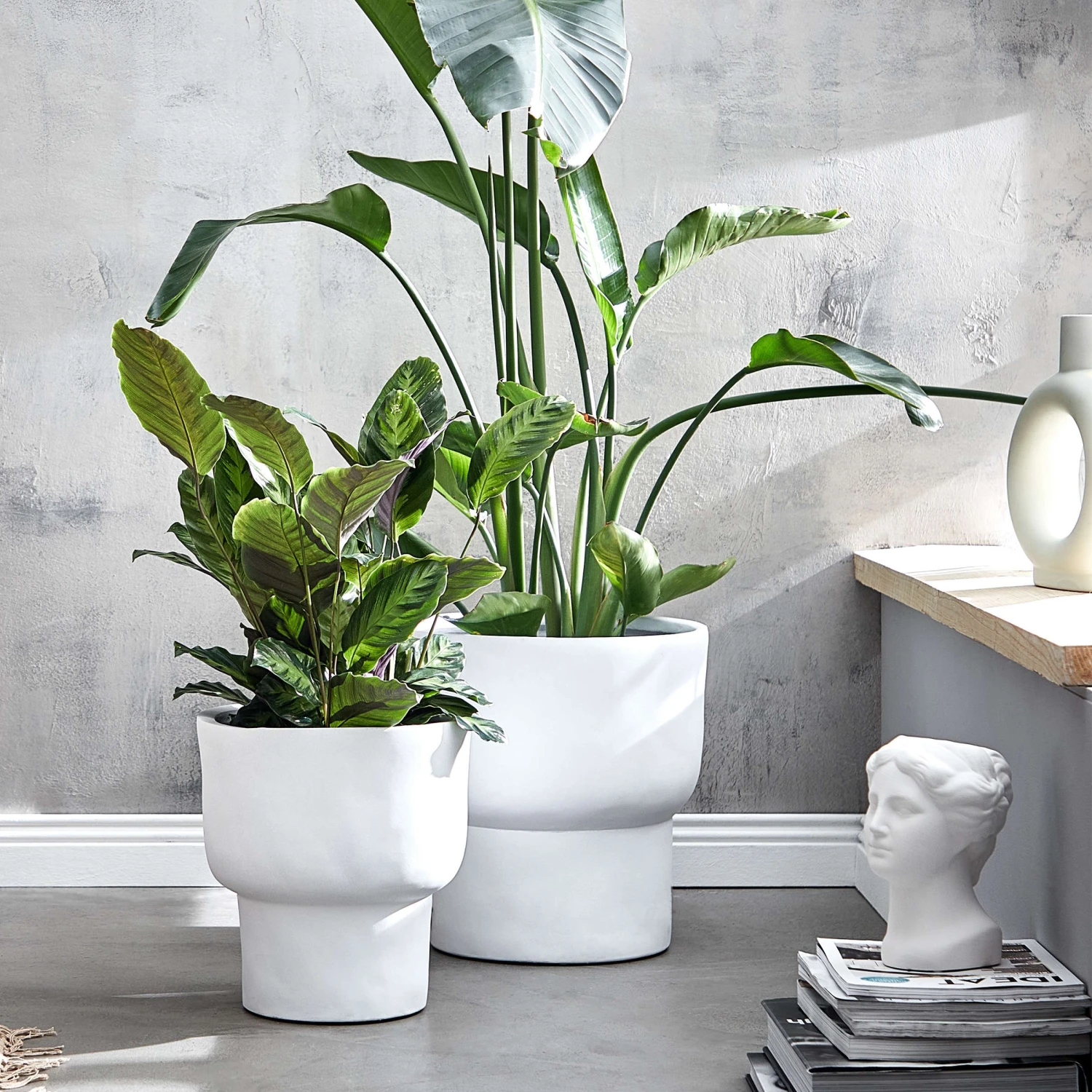 LOFT Pflanztopf Ø31cm 8 LOFT Pflanztopf Ø31cm – Bild 6