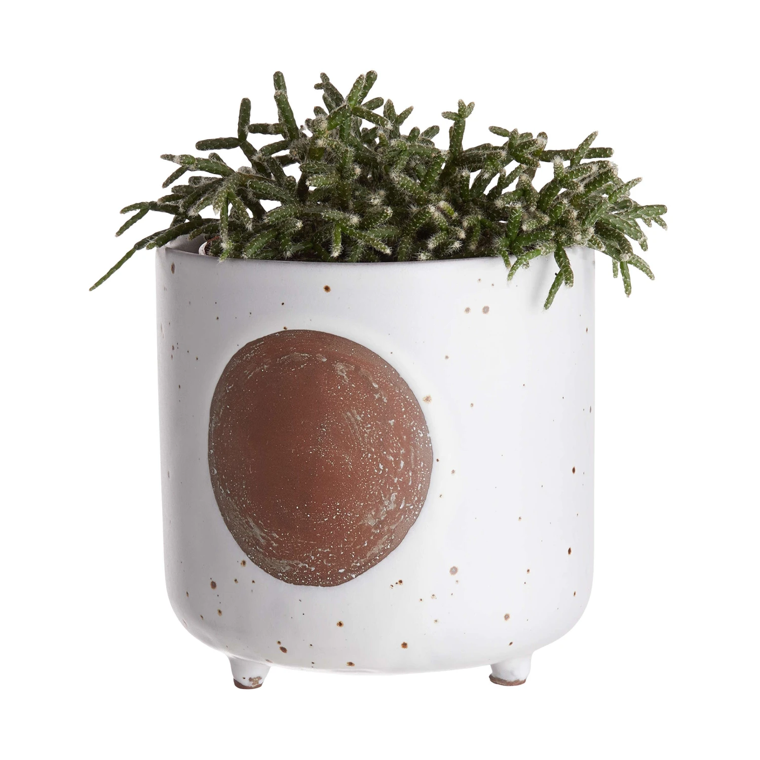 DOT Blumentopf Ø14cm 4 DOT Blumentopf Ø14cm – Bild 2