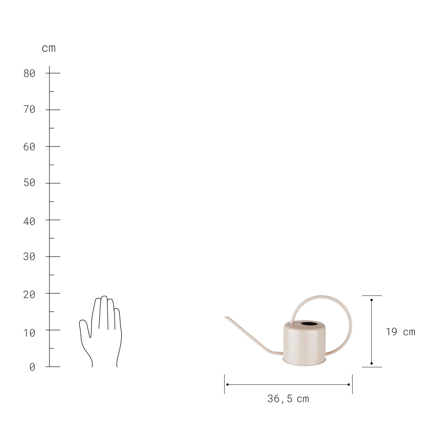 FLORENCE Gießkanne 1,3l 5 FLORENCE Gießkanne 1,3l – Bild 3