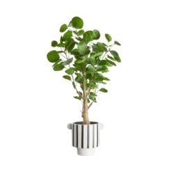 LINES Blumentopf Ø14cm -Butlers 10227722 4