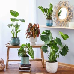 LEAVES Blumentopf Ø20cm -Butlers 10227728 5