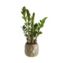 VEGGIE Blumentopf Ø16cm 9 VEGGIE Blumentopf Ø16cm -Butlers 10227730 2