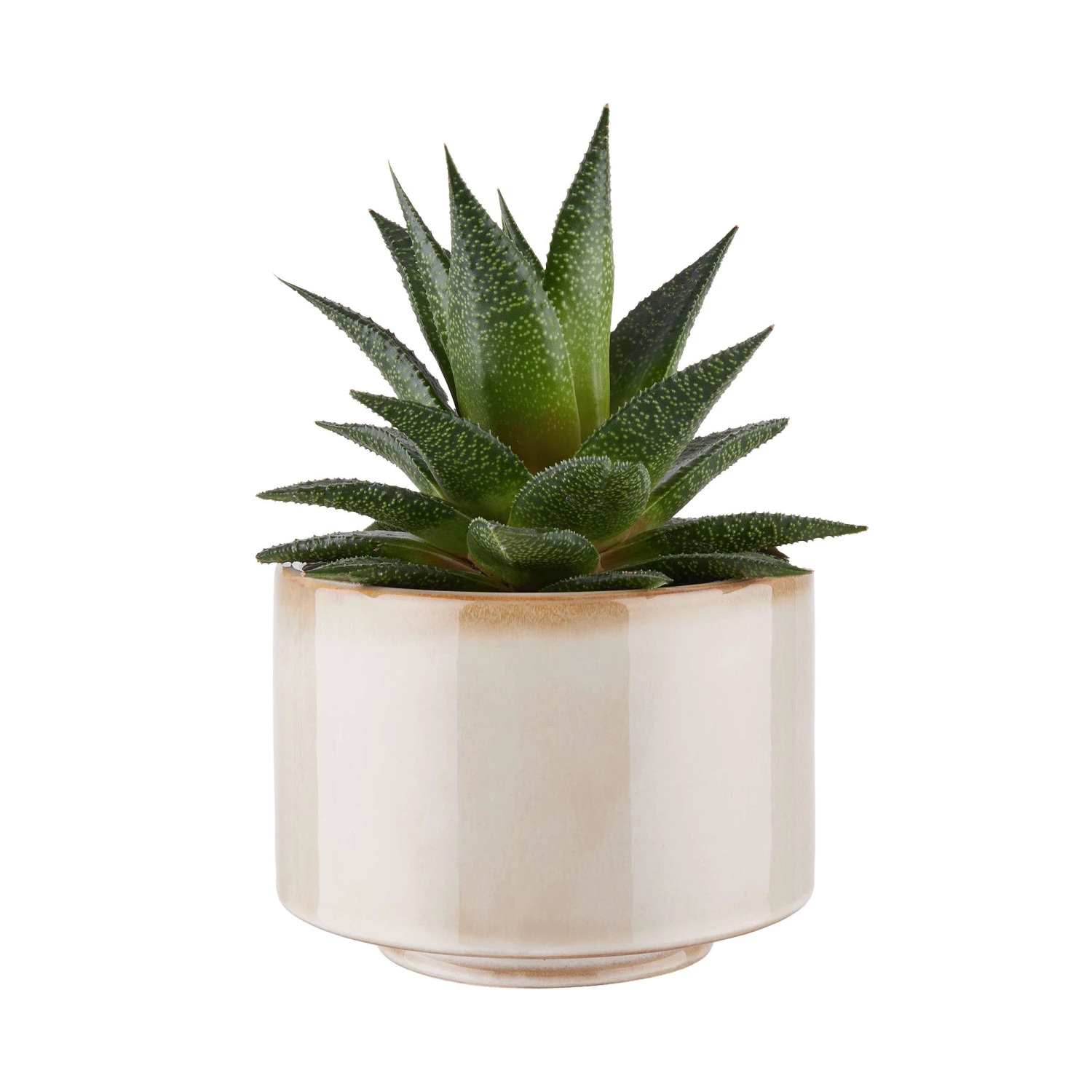 FAWN Blumentopf Ø14cm 4 FAWN Blumentopf Ø14cm – Bild 2