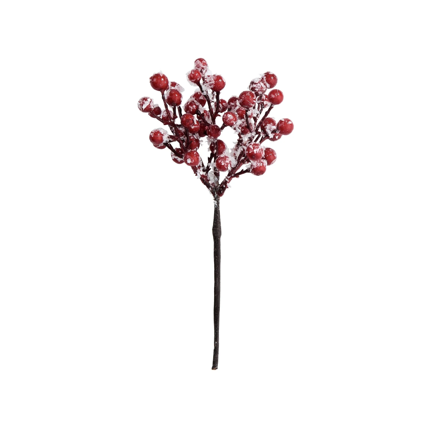 FLORISTA 6x Beerenzweig Gefrostet Länge 19cm 3 FLORISTA 6x Beerenzweig Gefrostet Länge 19cm