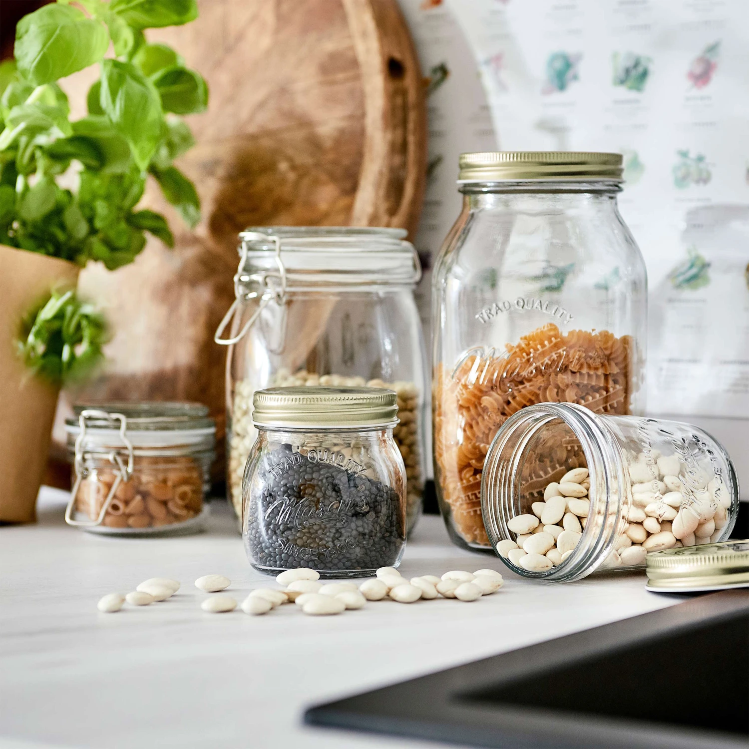 MASON'S 6x Aufbewahrungsgläser 220ml 9 MASON'S 6x Aufbewahrungsgläser 220ml – Bild 7