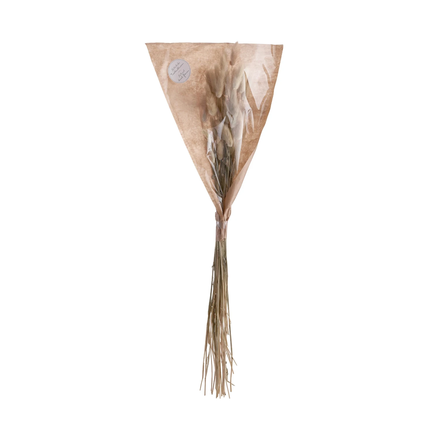 FLOWER MARKET 2x Trockenblumen Lagurusgras Länge 70cm 5 FLOWER MARKET 2x Trockenblumen Lagurusgras Länge 70cm – Bild 3